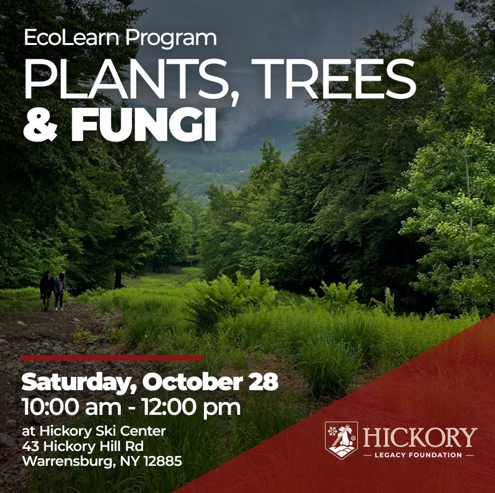 EcoLearn Program  - Plants, Trees, and Fungi - October 28
